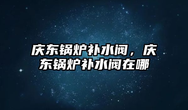 慶東鍋爐補水閥，慶東鍋爐補水閥在哪