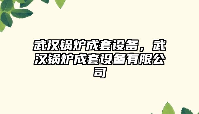 武漢鍋爐成套設(shè)備，武漢鍋爐成套設(shè)備有限公司