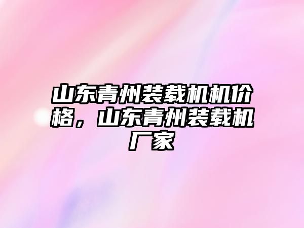 山東青州裝載機機價格，山東青州裝載機廠家