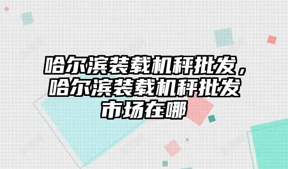 哈爾濱裝載機秤批發(fā)，哈爾濱裝載機秤批發(fā)市場在哪