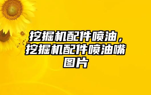 挖掘機配件噴油，挖掘機配件噴油嘴圖片