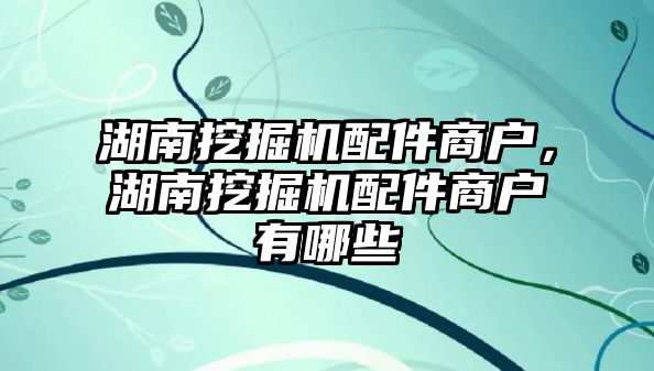 湖南挖掘機配件商戶，湖南挖掘機配件商戶有哪些