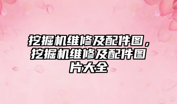 挖掘機維修及配件圖，挖掘機維修及配件圖片大全