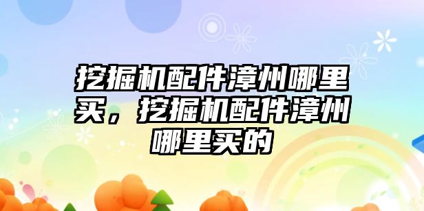 挖掘機配件漳州哪里買，挖掘機配件漳州哪里買的