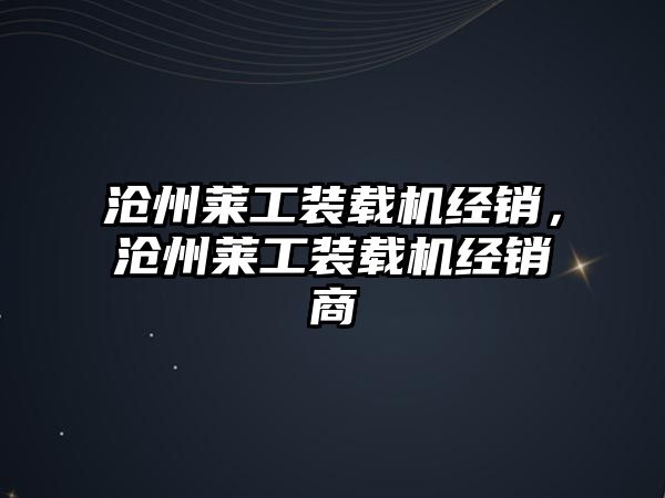 滄州萊工裝載機經(jīng)銷，滄州萊工裝載機經(jīng)銷商