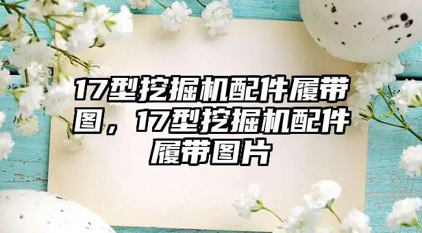 17型挖掘機(jī)配件履帶圖，17型挖掘機(jī)配件履帶圖片