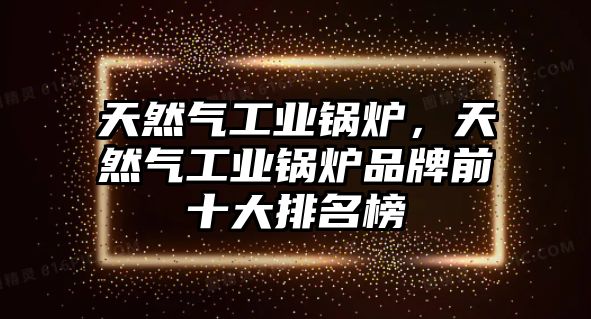 天然氣工業(yè)鍋爐，天然氣工業(yè)鍋爐品牌前十大排名榜