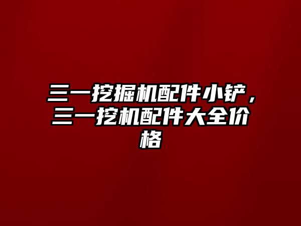 三一挖掘機配件小鏟，三一挖機配件大全價格