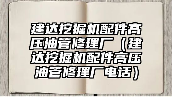 建達挖掘機配件高壓油管修理廠（建達挖掘機配件高壓油管修理廠電話）