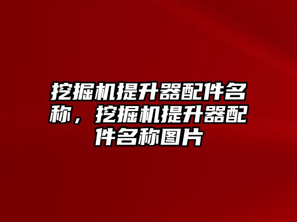 挖掘機(jī)提升器配件名稱，挖掘機(jī)提升器配件名稱圖片