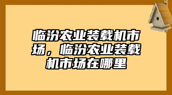 臨汾農(nóng)業(yè)裝載機市場，臨汾農(nóng)業(yè)裝載機市場在哪里