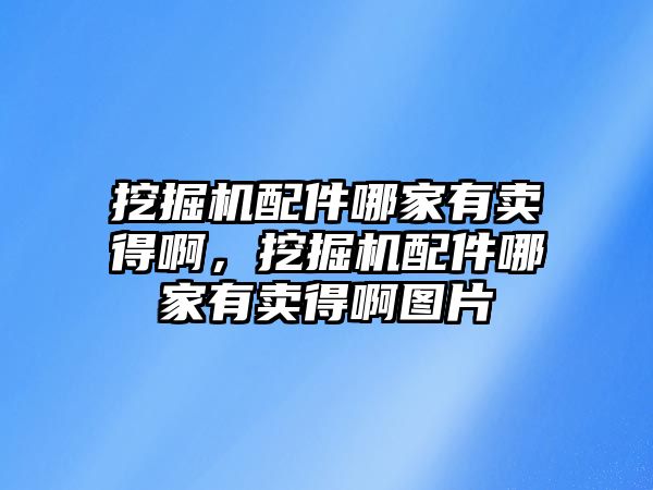 挖掘機(jī)配件哪家有賣得啊，挖掘機(jī)配件哪家有賣得啊圖片