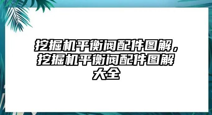 挖掘機(jī)平衡閥配件圖解，挖掘機(jī)平衡閥配件圖解大全