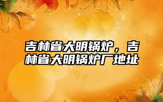 吉林省大明鍋爐，吉林省大明鍋爐廠地址