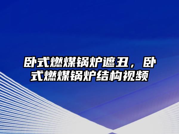 臥式燃煤鍋爐遮丑，臥式燃煤鍋爐結(jié)構(gòu)視頻