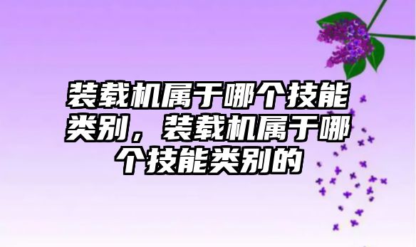 裝載機屬于哪個技能類別，裝載機屬于哪個技能類別的