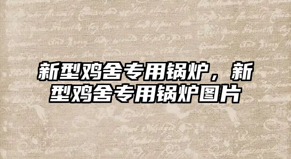 新型雞舍專(zhuān)用鍋爐，新型雞舍專(zhuān)用鍋爐圖片