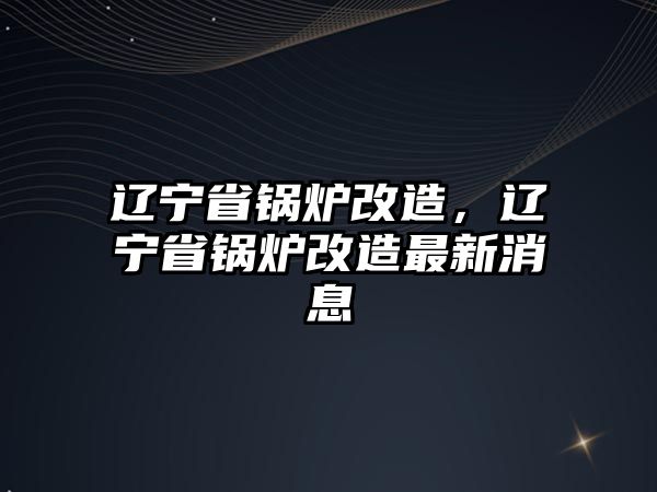 遼寧省鍋爐改造，遼寧省鍋爐改造最新消息