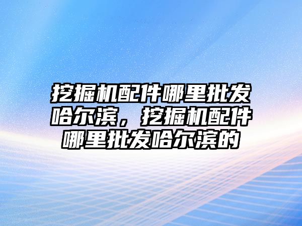 挖掘機配件哪里批發(fā)哈爾濱，挖掘機配件哪里批發(fā)哈爾濱的