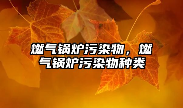 燃?xì)忮仩t污染物，燃?xì)忮仩t污染物種類(lèi)