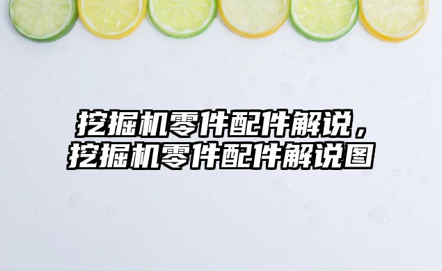 挖掘機零件配件解說，挖掘機零件配件解說圖