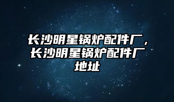 長(zhǎng)沙明星鍋爐配件廠，長(zhǎng)沙明星鍋爐配件廠地址