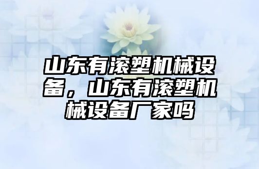 山東有滾塑機(jī)械設(shè)備，山東有滾塑機(jī)械設(shè)備廠家嗎