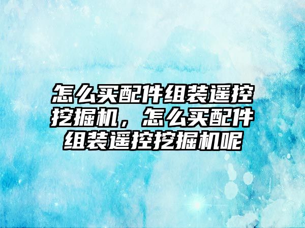 怎么買配件組裝遙控挖掘機，怎么買配件組裝遙控挖掘機呢