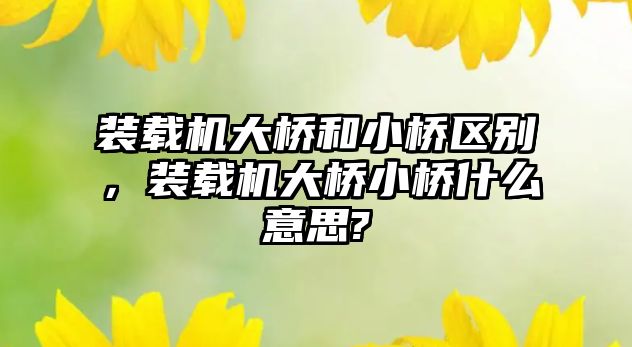 裝載機大橋和小橋區(qū)別，裝載機大橋小橋什么意思?