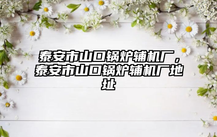 泰安市山口鍋爐輔機廠，泰安市山口鍋爐輔機廠地址