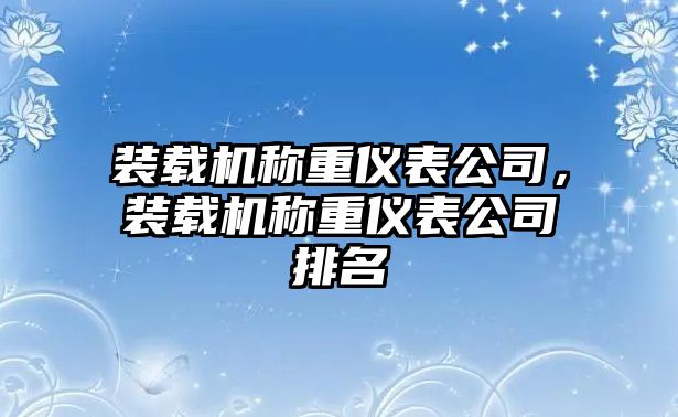 裝載機(jī)稱重儀表公司，裝載機(jī)稱重儀表公司排名