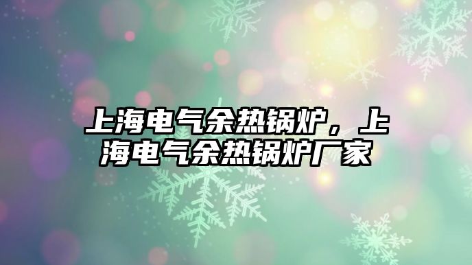 上海電氣余熱鍋爐，上海電氣余熱鍋爐廠家