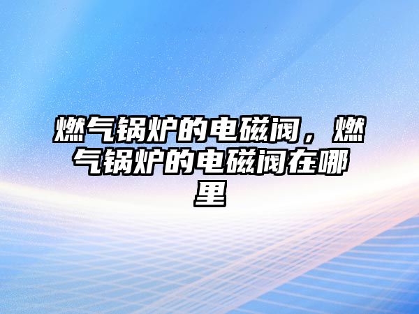 燃?xì)忮仩t的電磁閥，燃?xì)忮仩t的電磁閥在哪里