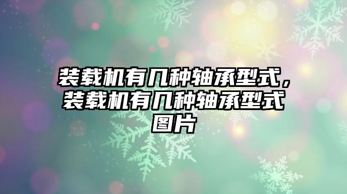 裝載機有幾種軸承型式，裝載機有幾種軸承型式圖片