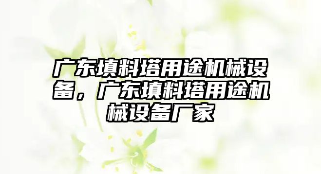 廣東填料塔用途機械設(shè)備，廣東填料塔用途機械設(shè)備廠家