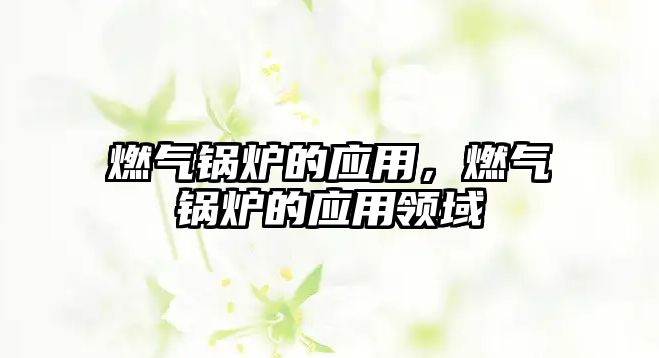 燃氣鍋爐的應(yīng)用，燃氣鍋爐的應(yīng)用領(lǐng)域