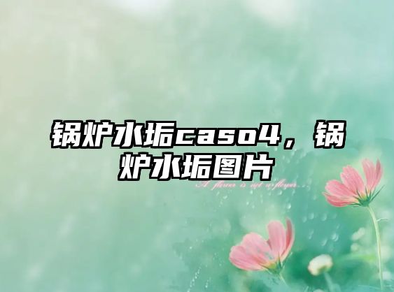 鍋爐水垢caso4，鍋爐水垢圖片