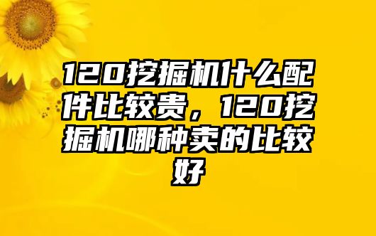 120挖掘機(jī)什么配件比較貴，120挖掘機(jī)哪種賣(mài)的比較好