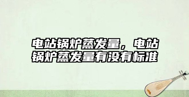 電站鍋爐蒸發(fā)量，電站鍋爐蒸發(fā)量有沒有標(biāo)準(zhǔn)