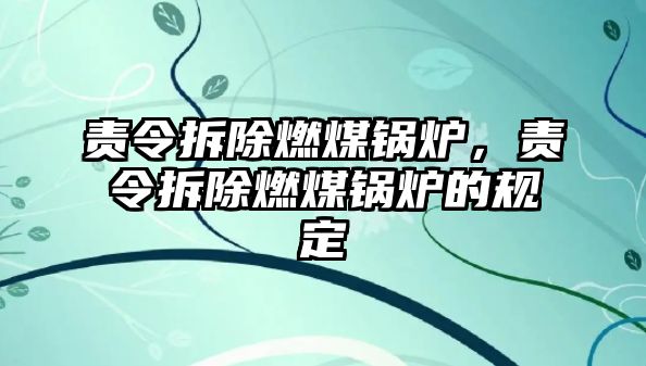 責令拆除燃煤鍋爐，責令拆除燃煤鍋爐的規(guī)定