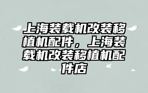 上海裝載機(jī)改裝移植機(jī)配件，上海裝載機(jī)改裝移植機(jī)配件店