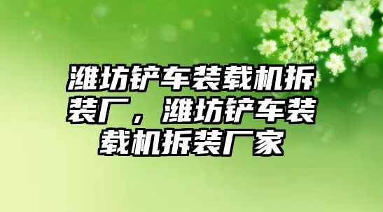 濰坊鏟車裝載機(jī)拆裝廠，濰坊鏟車裝載機(jī)拆裝廠家