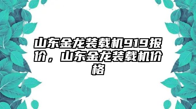 山東金龍裝載機919報價，山東金龍裝載機價格