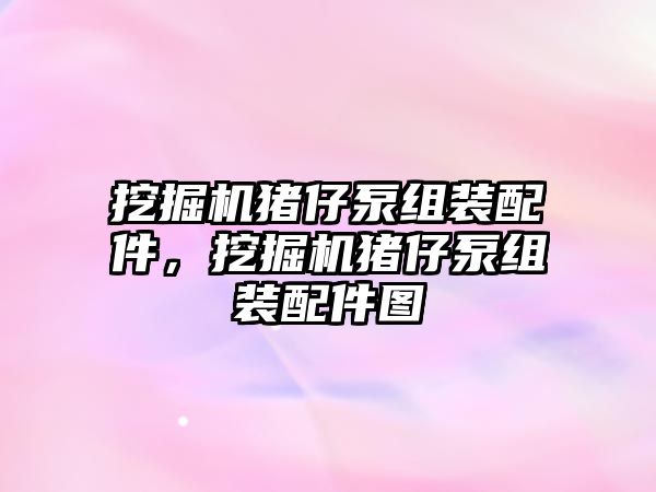 挖掘機豬仔泵組裝配件，挖掘機豬仔泵組裝配件圖