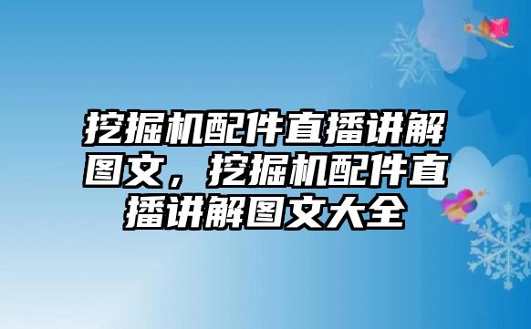 挖掘機(jī)配件直播講解圖文，挖掘機(jī)配件直播講解圖文大全