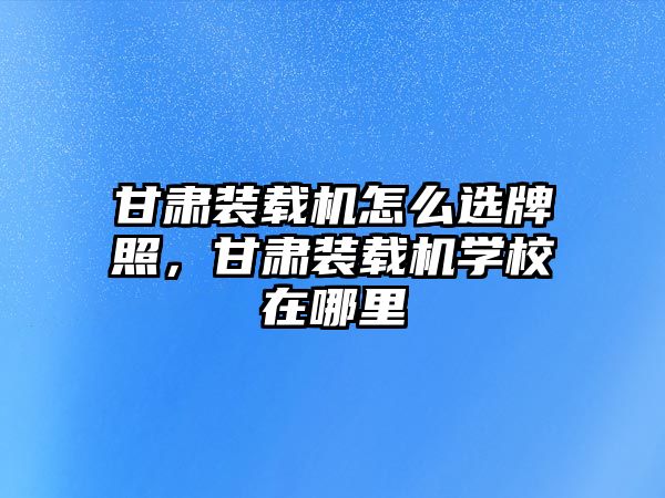 甘肅裝載機怎么選牌照，甘肅裝載機學校在哪里