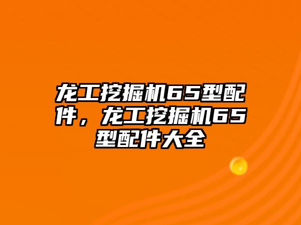 龍工挖掘機65型配件，龍工挖掘機65型配件大全