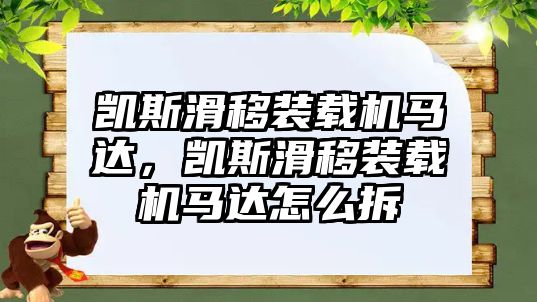 凱斯滑移裝載機馬達，凱斯滑移裝載機馬達怎么拆