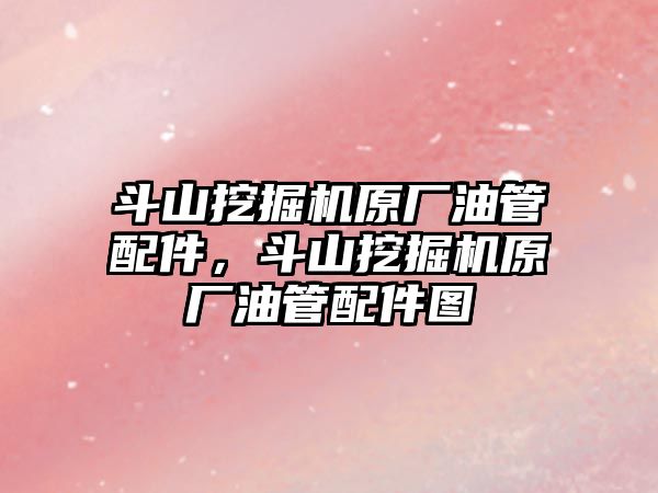 斗山挖掘機原廠油管配件，斗山挖掘機原廠油管配件圖