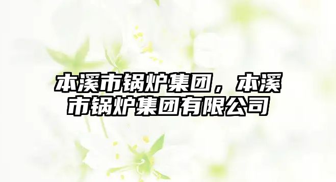 本溪市鍋爐集團(tuán)，本溪市鍋爐集團(tuán)有限公司